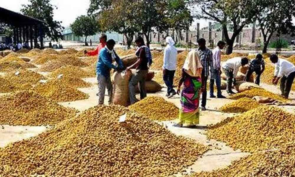 Nizamabad turmeric farmers to contest against Modi
