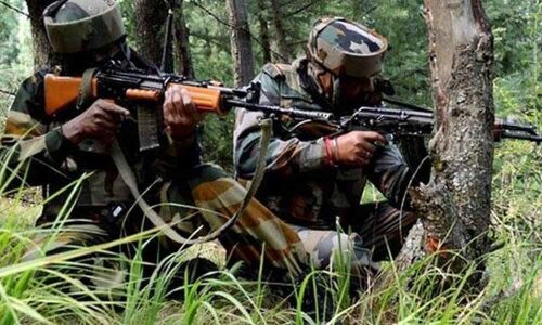 2 militants killed in encounter in J&Ks Anantnag