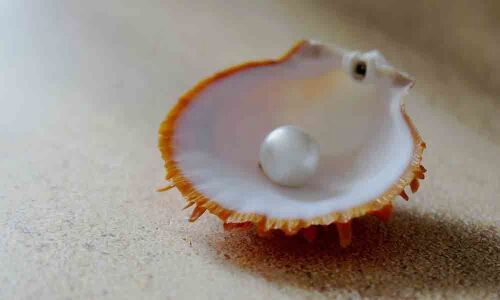 Artificial mother-of-pearl created using bacteria