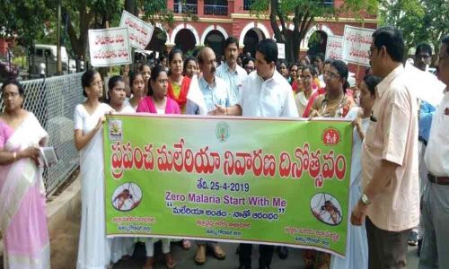 Rally organised on World Malaria Day