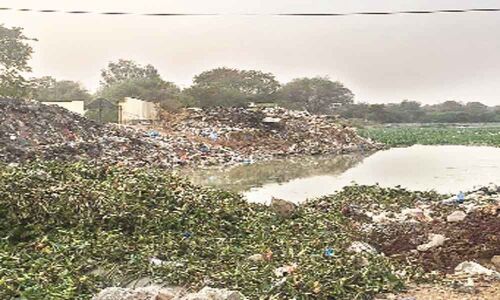 Hyacinth removed, but dumped on tank bund