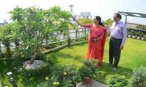 House plants help reduce air pollution in urban areas