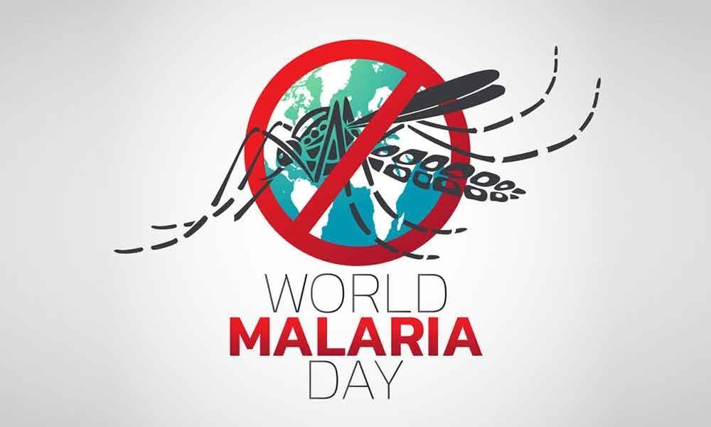 Is malaria eradication in India possible?