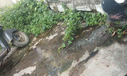 Unbearable stench as sewage overflows