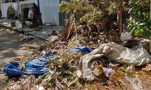 Garbage nuisance enrages residents