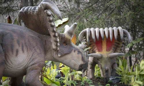 Go on a Dino safari!