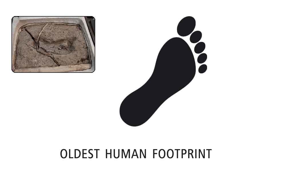 Oldest human footprint found in Chile