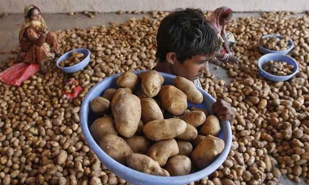 Gujarat government backs potato farmers in PepsiCo case