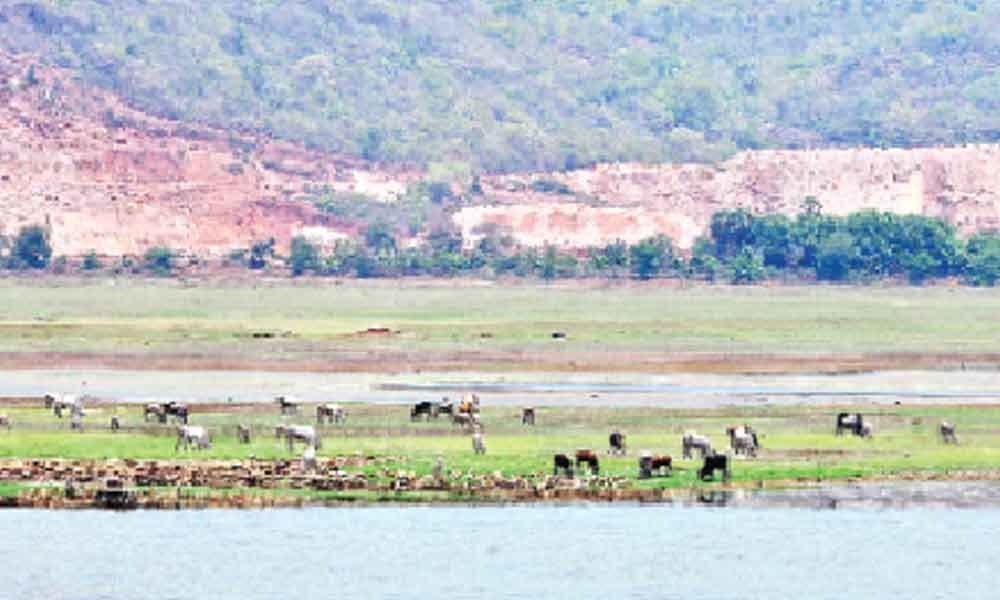 Drying up Pampa reservoir worries temple authorities