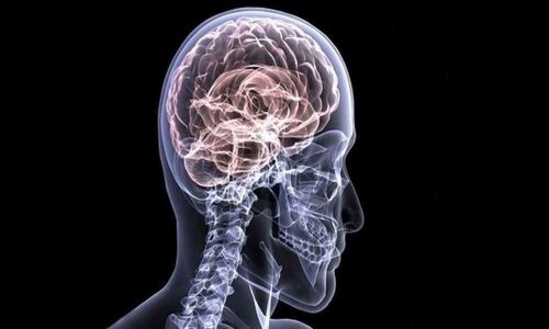 Memory impairment can be improved through gene repair