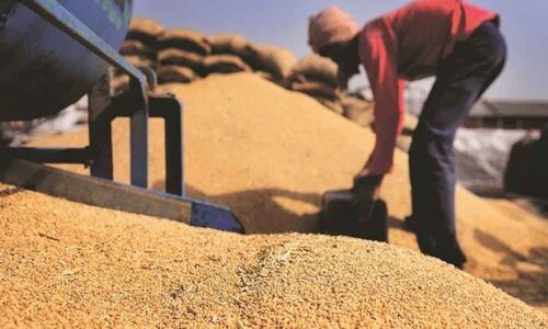 Government hikes customs duty on wheat to 40%