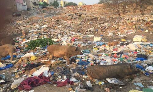 Open plot turns into dumping ground