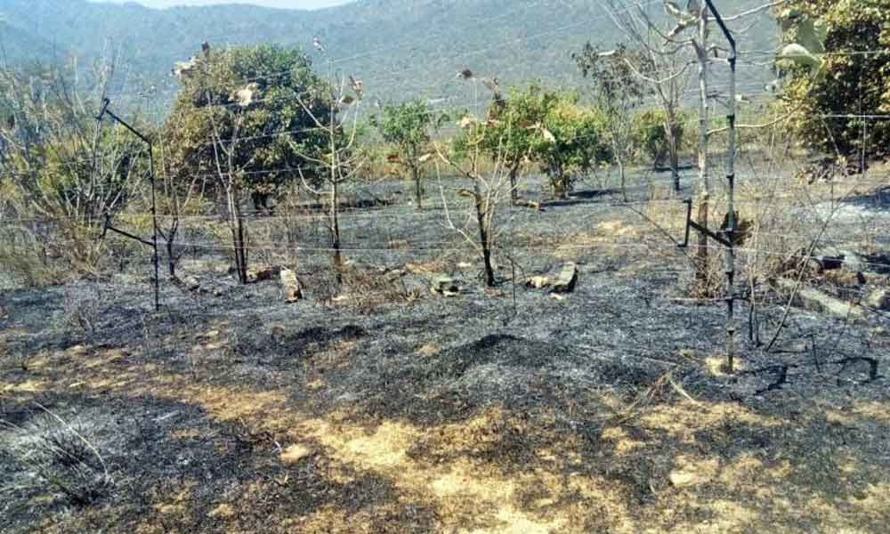 Villager dies after fire breaks out in Amethi