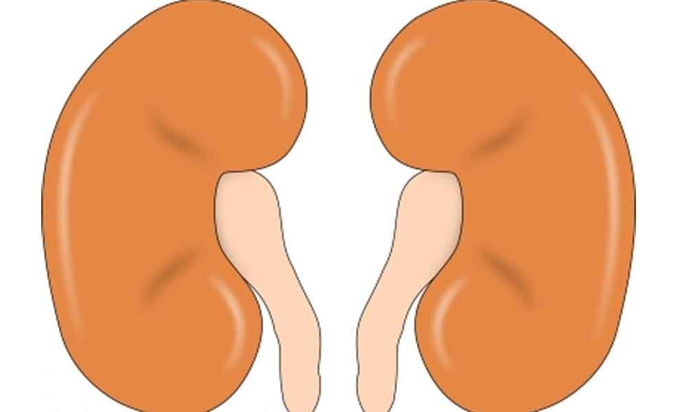 Heavy, tall kids at higher risk of kidney cancer