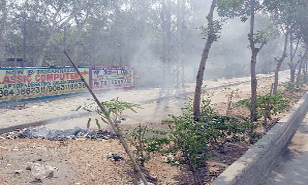 Garbage burning near Botanical Garden