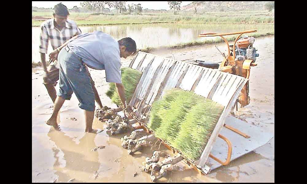 Central Agri Institute lauded for contribution to farm automation