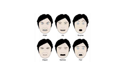 Face is the index of mind