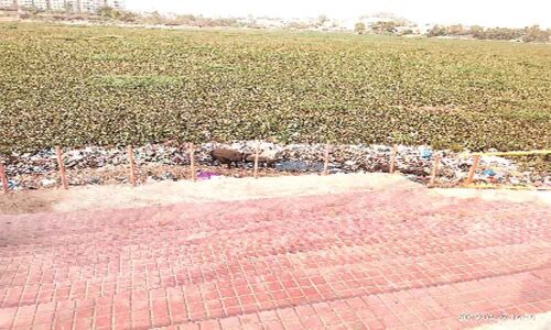 Hasmathpet Lake no longer a scenic spot