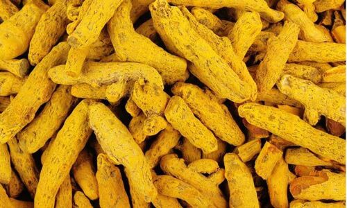 Turmeric farmers face EC hurdle in Varanasi