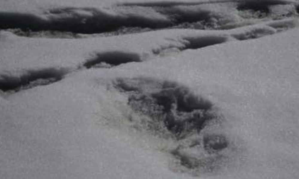 Indian Army finds the abominable snowman in the Himalayas?