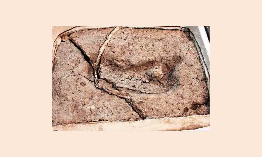 Scientists find 15,000 year old footprint
