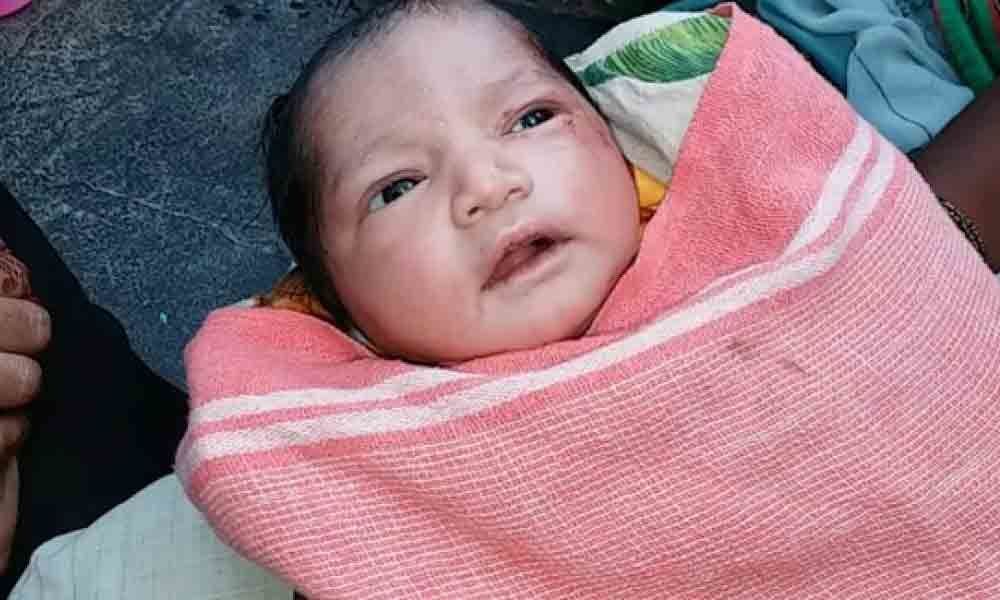 Baby boy found abandoned in bushes at Gadwal