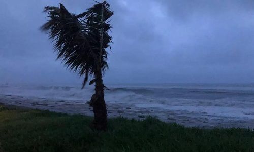 Cyclone Fani: Dos and Donts