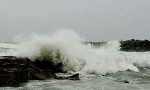 Cyclone Fani effect in Nellore district