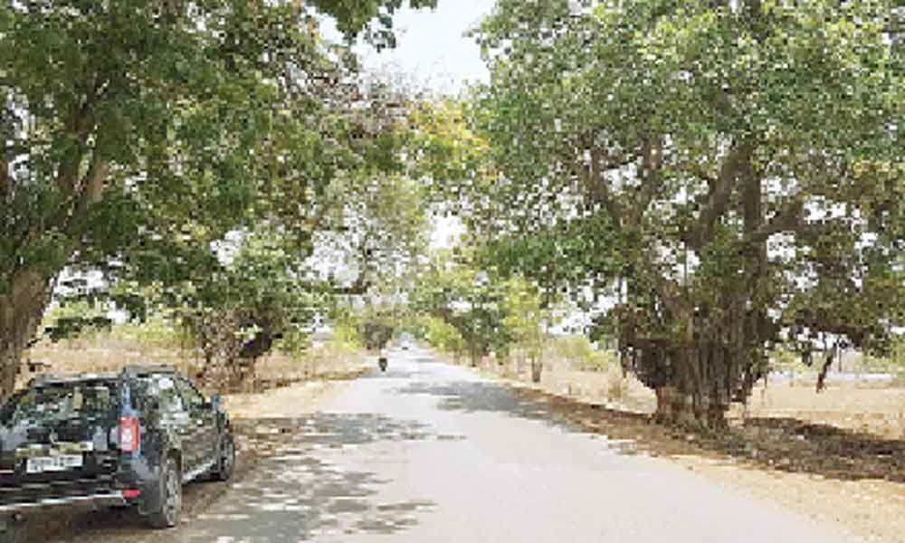 Hyderabad Chevella Road to witness green murder