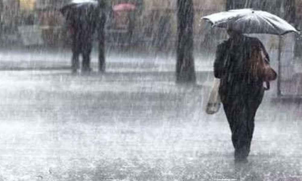 Kodangal records 2cm rainfall