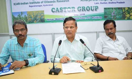 2-day oil seed research review meet from today in Tirupati