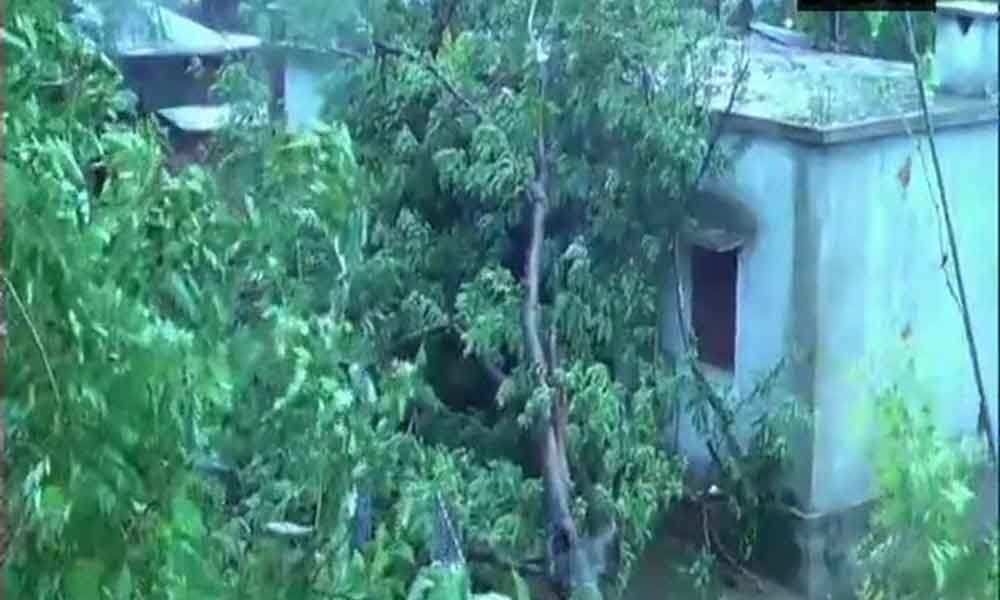 Cyclone Fani: Telecommunication networks partially disrupted in Puri, Bhubaneswar