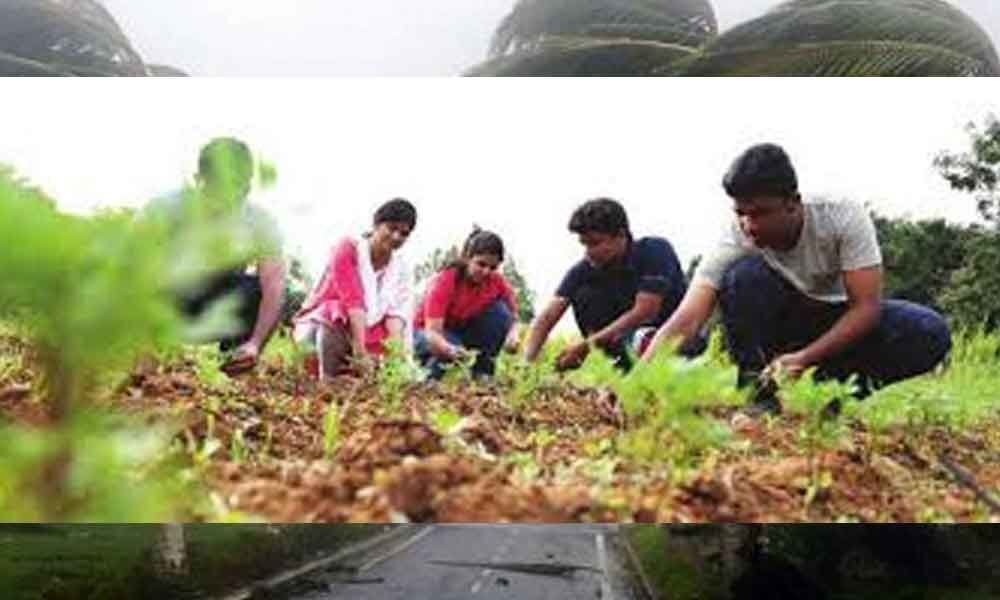 PJTSAU proposes to increase 100 seats in B.Sc (Hons) Agriculture