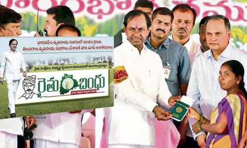 Over 10,000 farm families supported under Rythu Bima