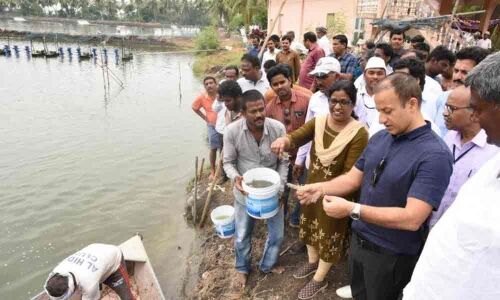 Government to conduct study to improve aqua productivity