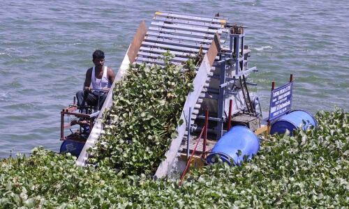 Godasu Narasimhas weed remover going places