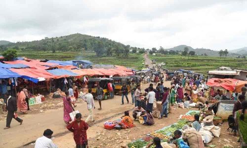 Middlemen fleece tribal farmers