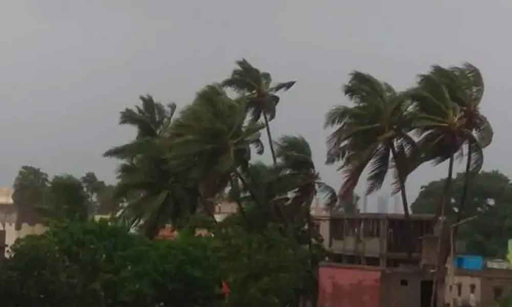 Fani uproots trees, triggers heavy rains in Bengal