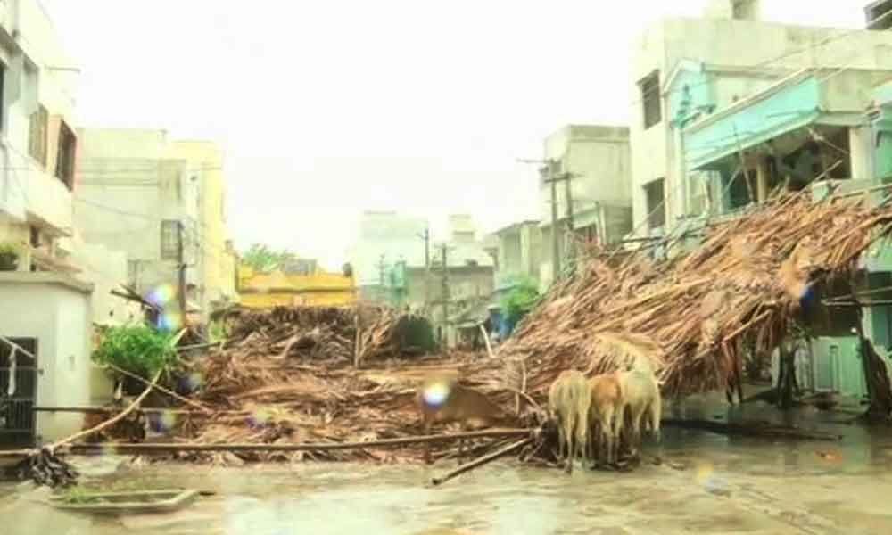 Cyclone Fani leaves 12 dead in Odisha, relief work underway