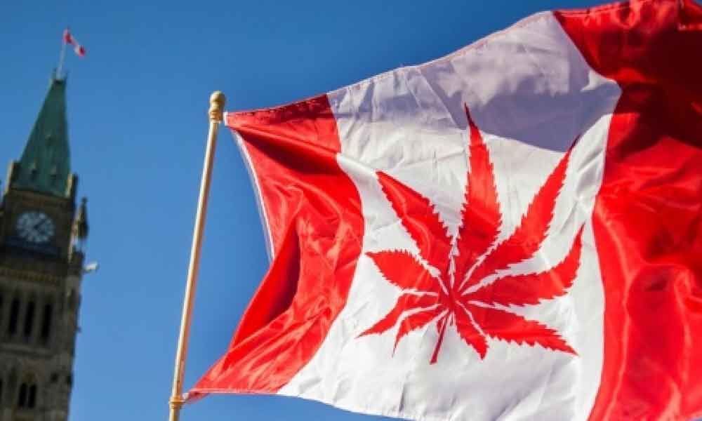 First-time pot users on the rise in Canada since legalisation