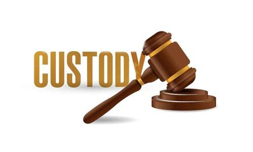 Evident Acts of Perversion: Alleged Pedophile Vimal Chand taken into custody