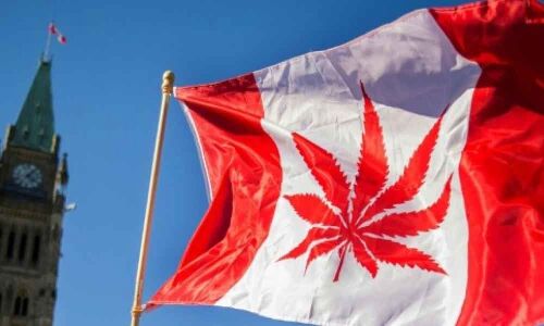 First-time pot users on the rise in Canada since legalisation