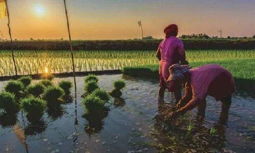 Preparations underway for Kharif season