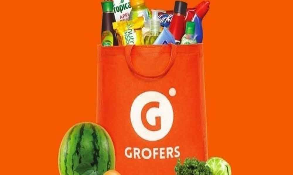 Grofers plans on doubling sales to Rs 5,000 cr by FY20; eyes IPO in 3 yrs
