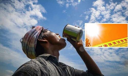 Andhra: Elderly couple die of heat stroke within minutes of each other