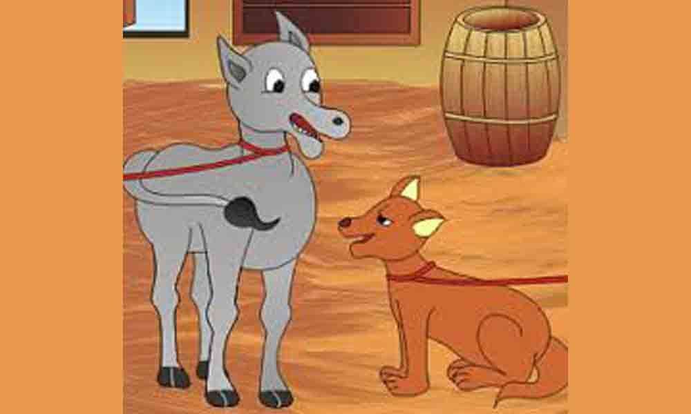 The dog and donkey