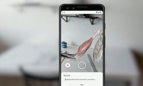 Google is adding augmented reality to search