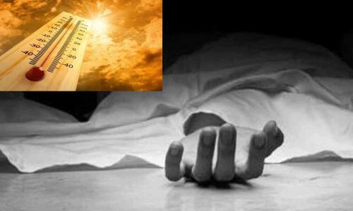 17 died due to heat waves in AP