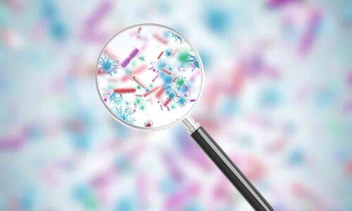 Scientists develop device to detect bacteria in minutes