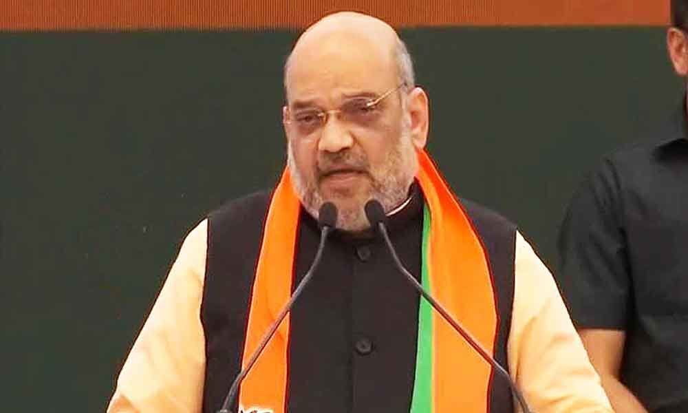 Article 370 will be removed if Modi returns to power: Amit Shah